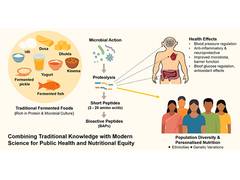 Fermented Foods Could Unlock Tailored Nutrition Solutions for India’s Diverse Communities
